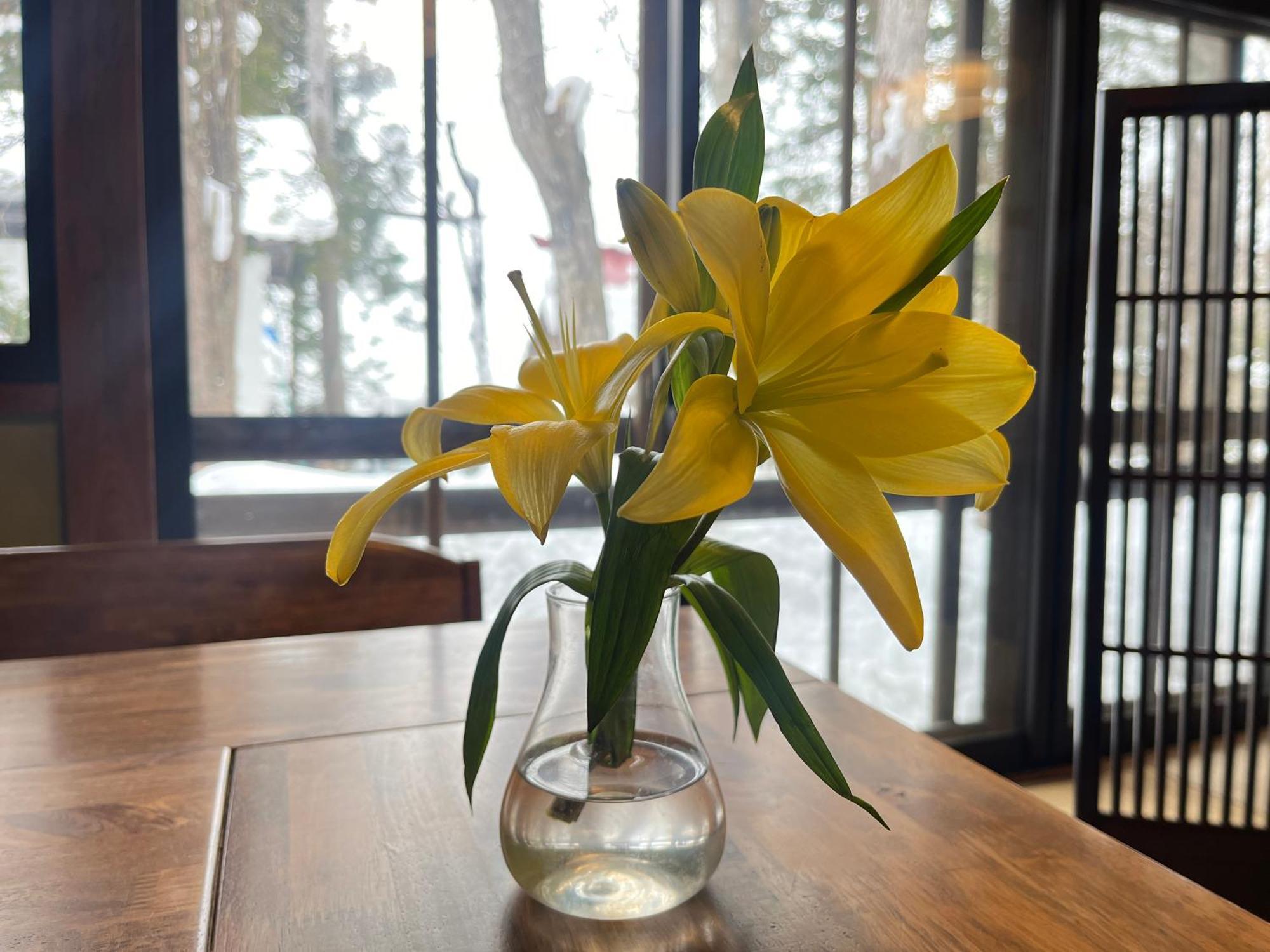 Yokokura Ryokan Nagano Exteriér fotografie